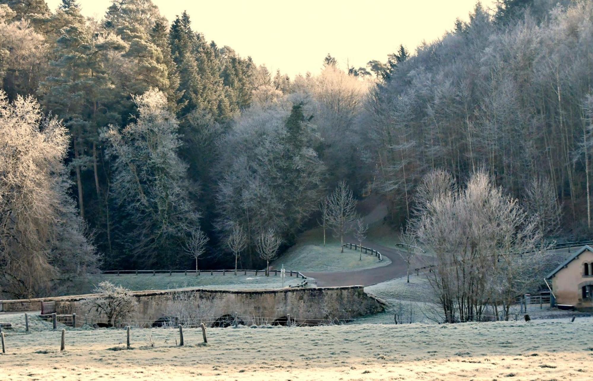 Gite Coeurdacier Monthureux-sur-Saone Bagian luar foto